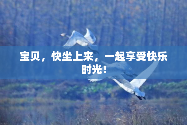 宝贝，快坐上来，一起享受快乐时光！