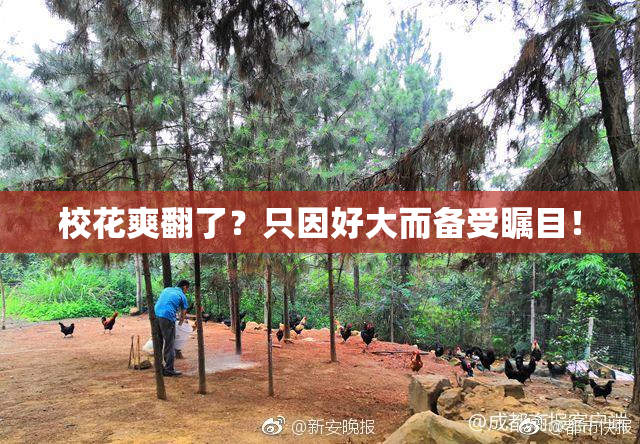 校花爽翻了？只因好大而备受瞩目！