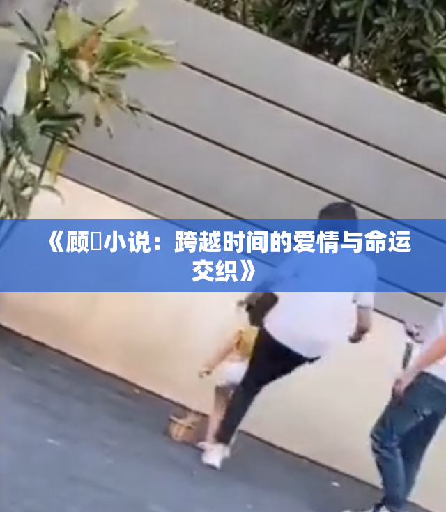 《顾嫚小说：跨越时间的爱情与命运交织》