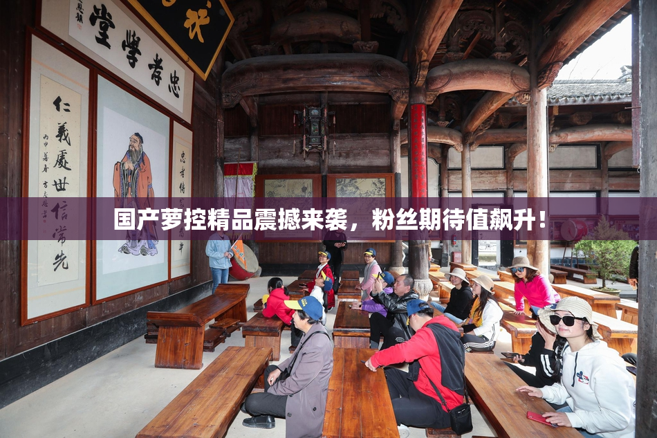 国产萝控精品震撼来袭，粉丝期待值飙升！