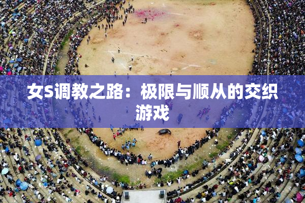女S调教之路：极限与顺从的交织游戏