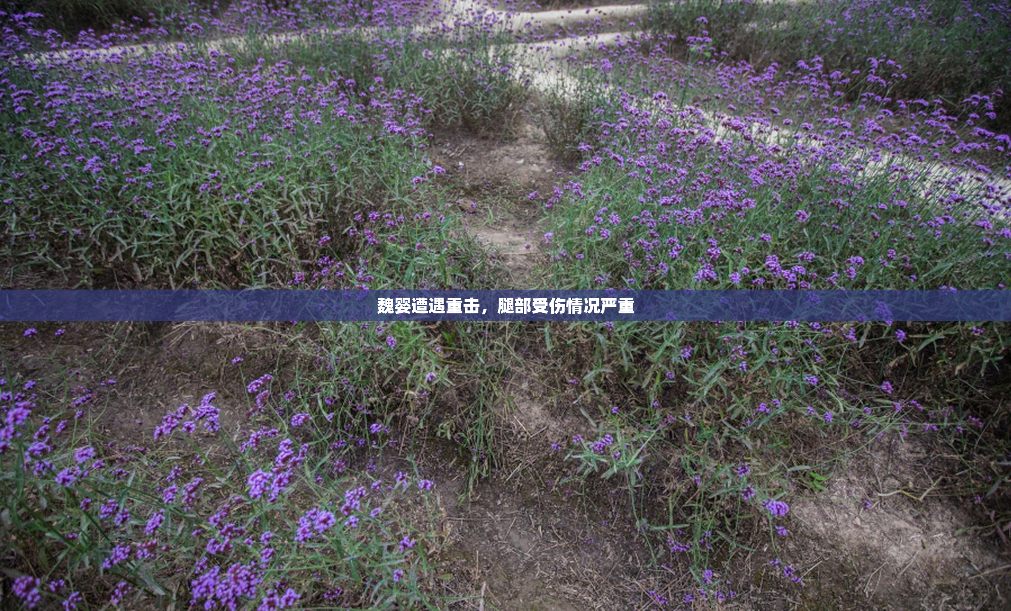 魏婴遭遇重击，腿部受伤情况严重