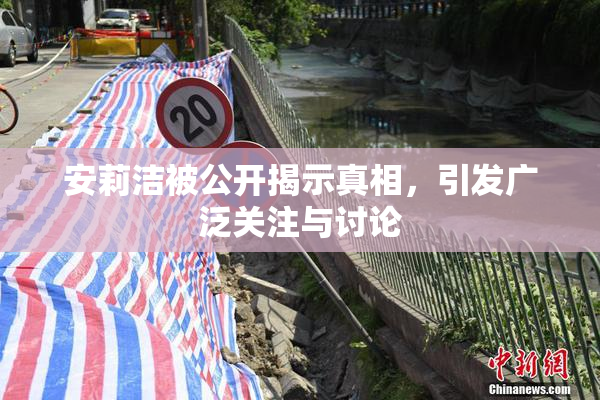 安莉洁被公开揭示真相，引发广泛关注与讨论