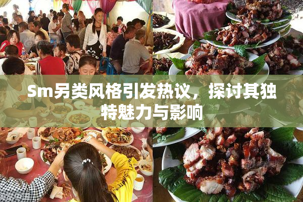 Sm另类风格引发热议，探讨其独特魅力与影响