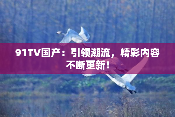 91TV国产：引领潮流，精彩内容不断更新！
