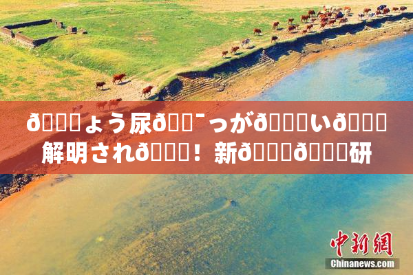 🎆ょう尿🔯っが😚い🎆解明され👅！新👅🍑研究成果発表