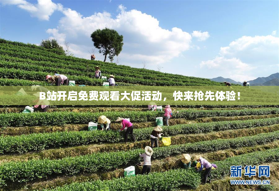 B站开启免费观看大促活动，快来抢先体验！