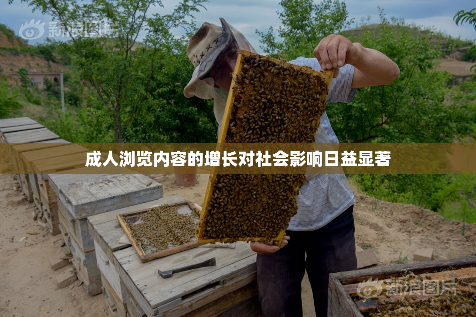 成人浏览内容的增长对社会影响日益显著