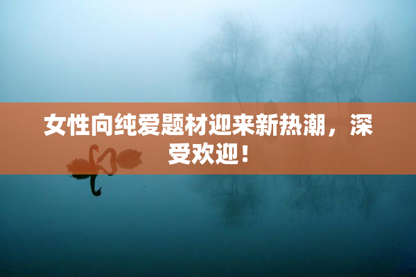 女性向纯爱题材迎来新热潮，深受欢迎！