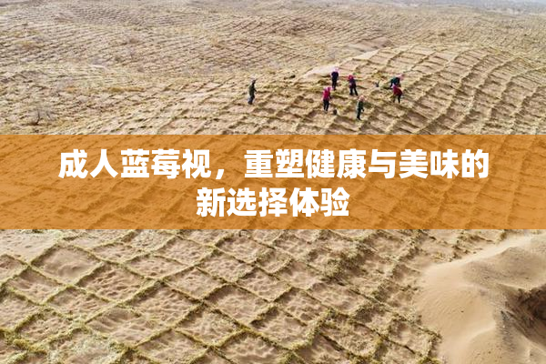 成人蓝莓视，重塑健康与美味的新选择体验