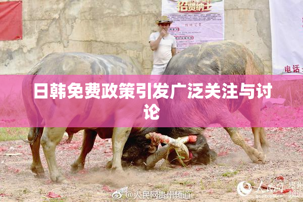 日韩免费政策引发广泛关注与讨论
