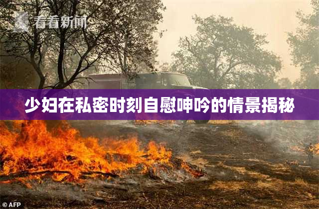 少妇在私密时刻自慰呻吟的情景揭秘