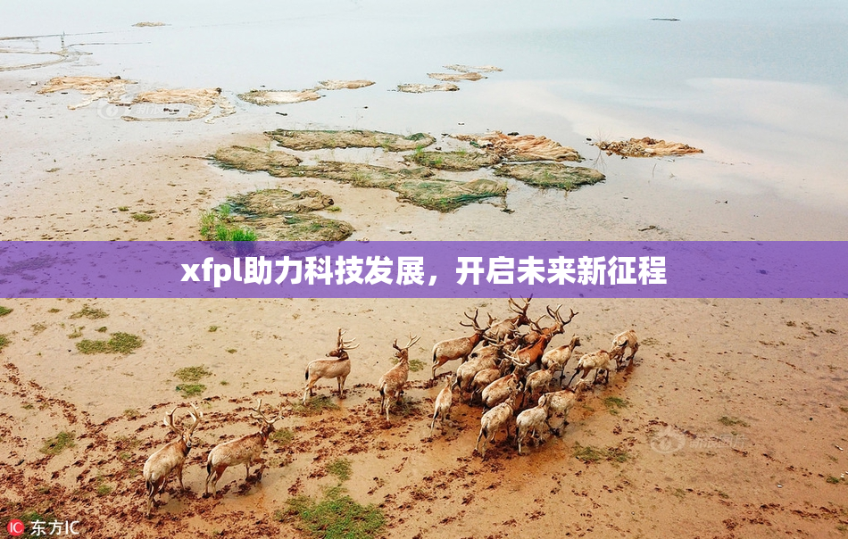 xfpl助力科技发展，开启未来新征程