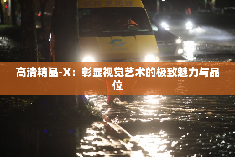 高清精品-X：彰显视觉艺术的极致魅力与品位