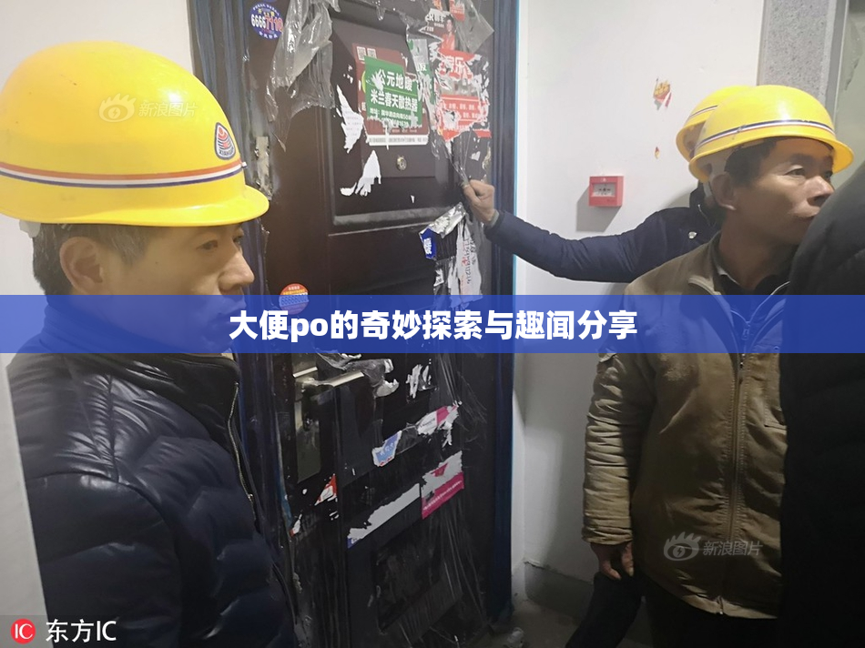 大便po的奇妙探索与趣闻分享