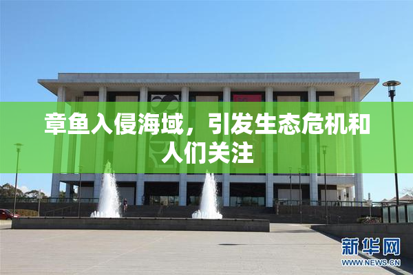 章鱼入侵海域，引发生态危机和人们关注