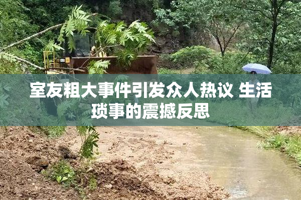 室友粗大事件引发众人热议 生活琐事的震撼反思
