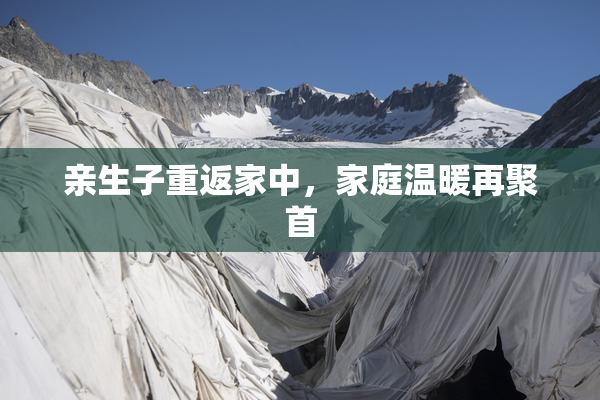 亲生子重返家中，家庭温暖再聚首