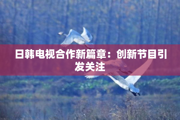 日韩电视合作新篇章：创新节目引发关注