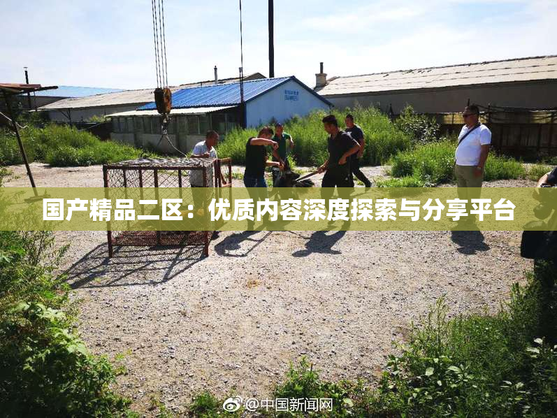国产精品二区：优质内容深度探索与分享平台