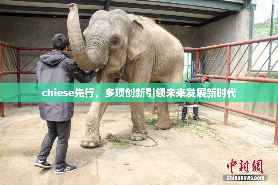 chiese先行，多项创新引领未来发展新时代