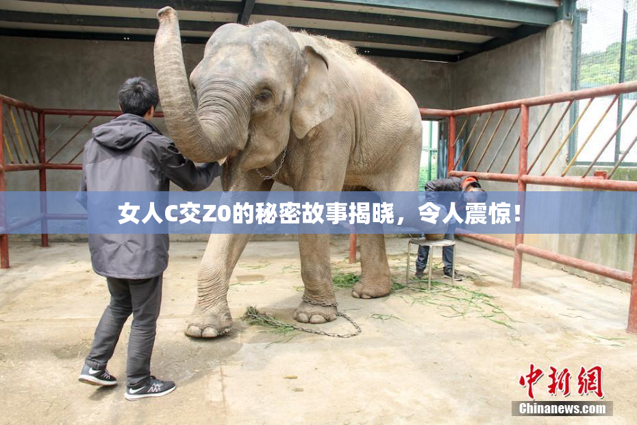 女人C交Z0的秘密故事揭晓，令人震惊！