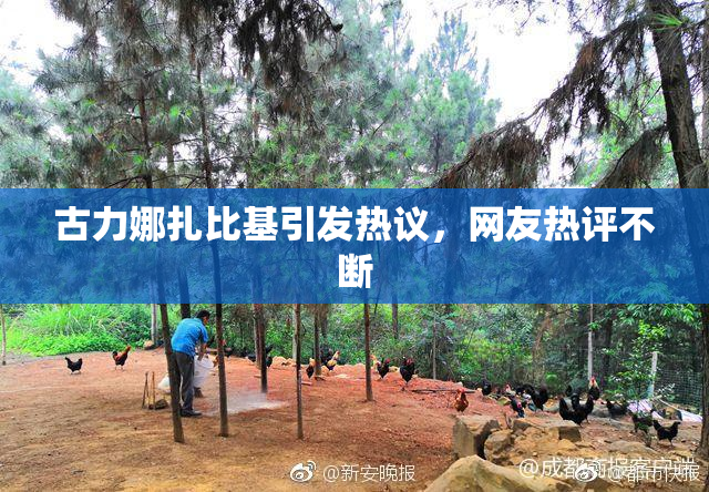 古力娜扎比基引发热议，网友热评不断