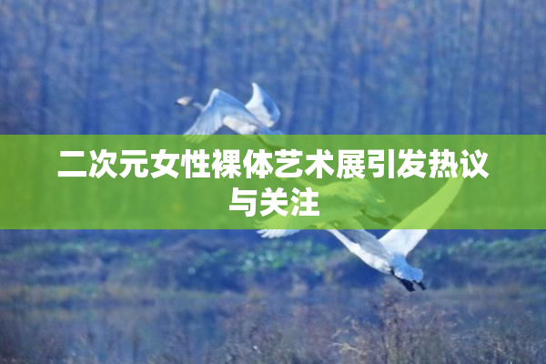 二次元女性裸体艺术展引发热议与关注