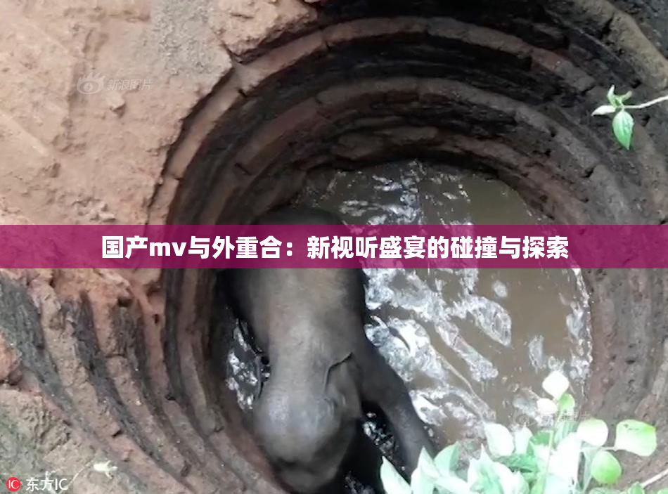 国产mv与外重合：新视听盛宴的碰撞与探索
