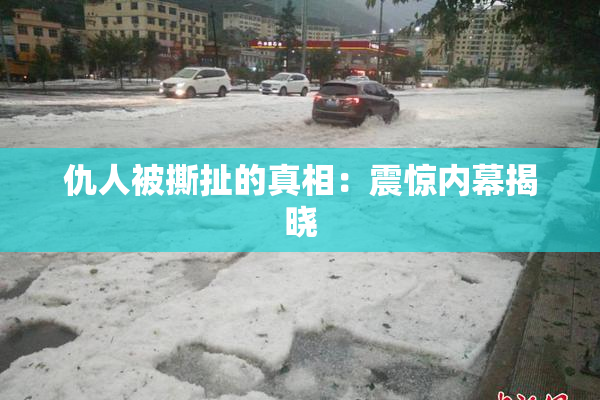 仇人被撕扯的真相：震惊内幕揭晓