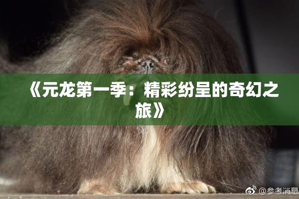 《元龙第一季：精彩纷呈的奇幻之旅》