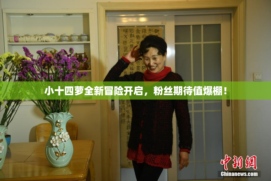 小十四萝全新冒险开启，粉丝期待值爆棚！