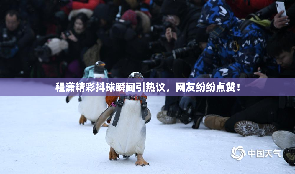 程潇精彩抖球瞬间引热议，网友纷纷点赞！