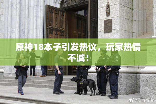原神18本子引发热议，玩家热情不减！