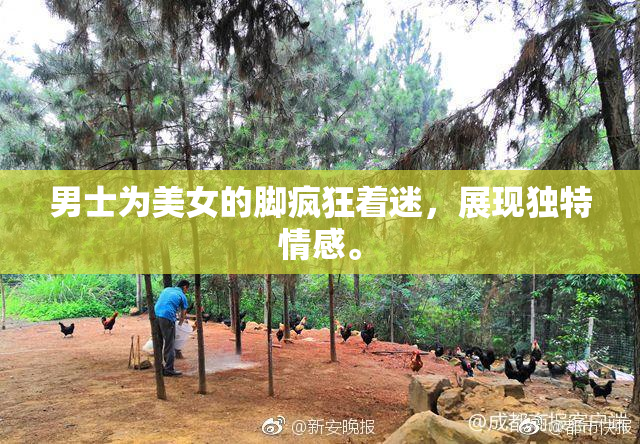 男士为美女的脚疯狂着迷，展现独特情感。