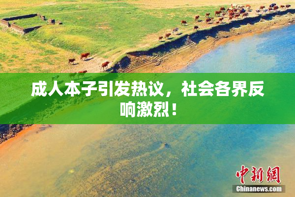 成人本子引发热议，社会各界反响激烈！