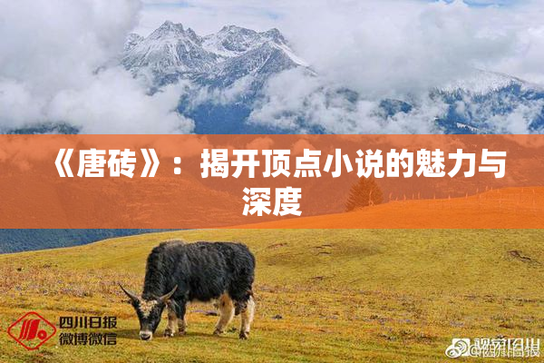《唐砖》：揭开顶点小说的魅力与深度