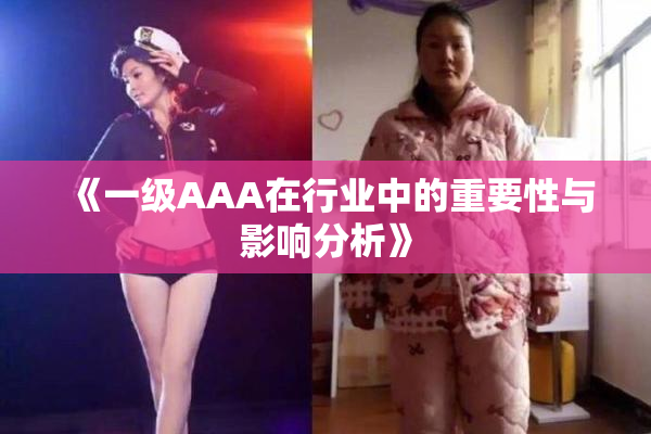 《一级AAA在行业中的重要性与影响分析》