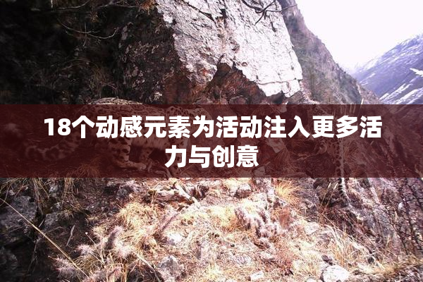 18个动感元素为活动注入更多活力与创意