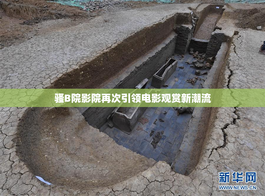 骚B院影院再次引领电影观赏新潮流