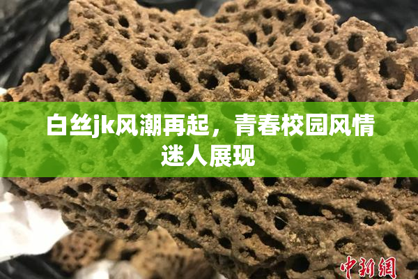 白丝jk风潮再起，青春校园风情迷人展现