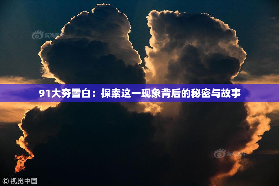 91大夯雪白：探索这一现象背后的秘密与故事