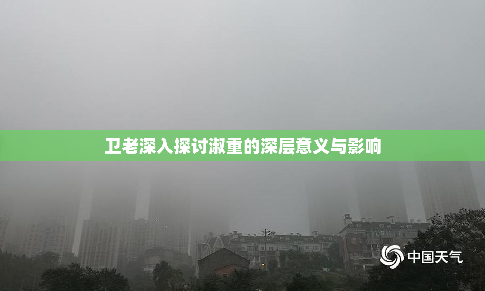 卫老深入探讨淑重的深层意义与影响
