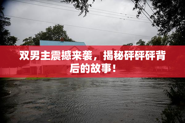 双男主震撼来袭，揭秘砰砰砰背后的故事！