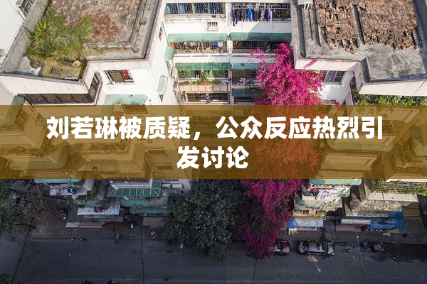 刘若琳被质疑，公众反应热烈引发讨论
