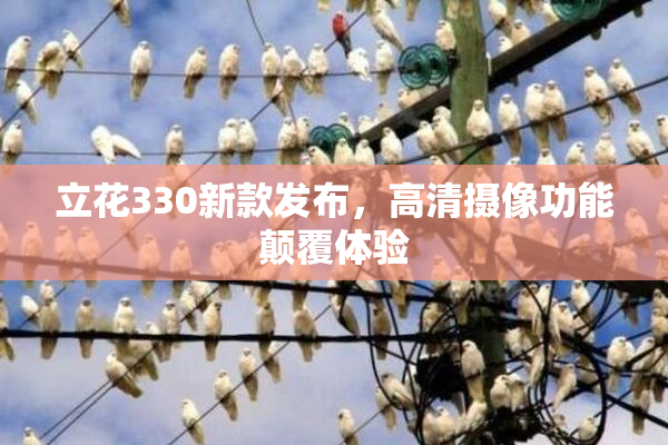 立花330新款发布，高清摄像功能颠覆体验