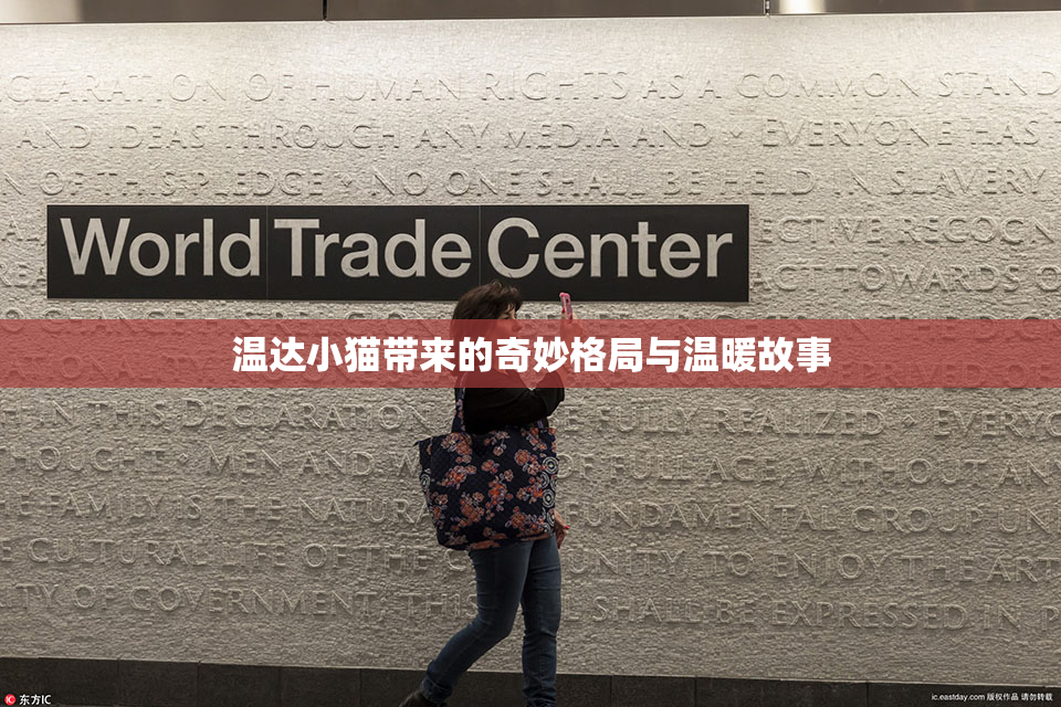 温达小猫带来的奇妙格局与温暖故事