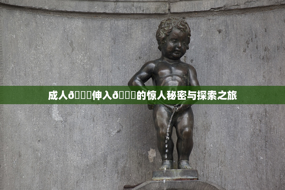 成人🍆伸入🍑的惊人秘密与探索之旅
