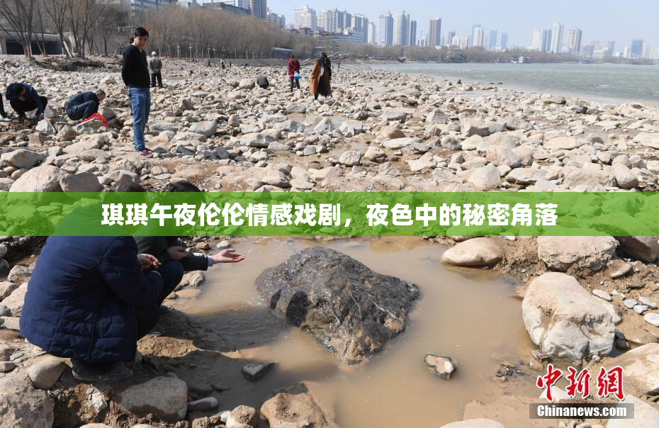 琪琪午夜伦伦情感戏剧，夜色中的秘密角落