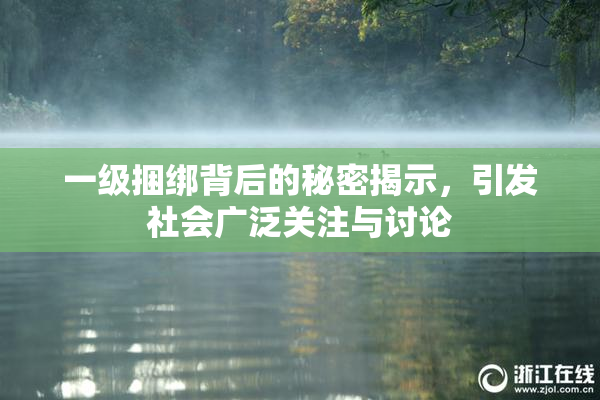 一级捆绑背后的秘密揭示，引发社会广泛关注与讨论